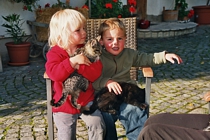 Wer hat schon jede Katze gestreichelt?